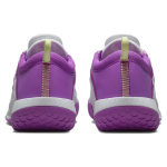 Nike Zoom Court NXT HC