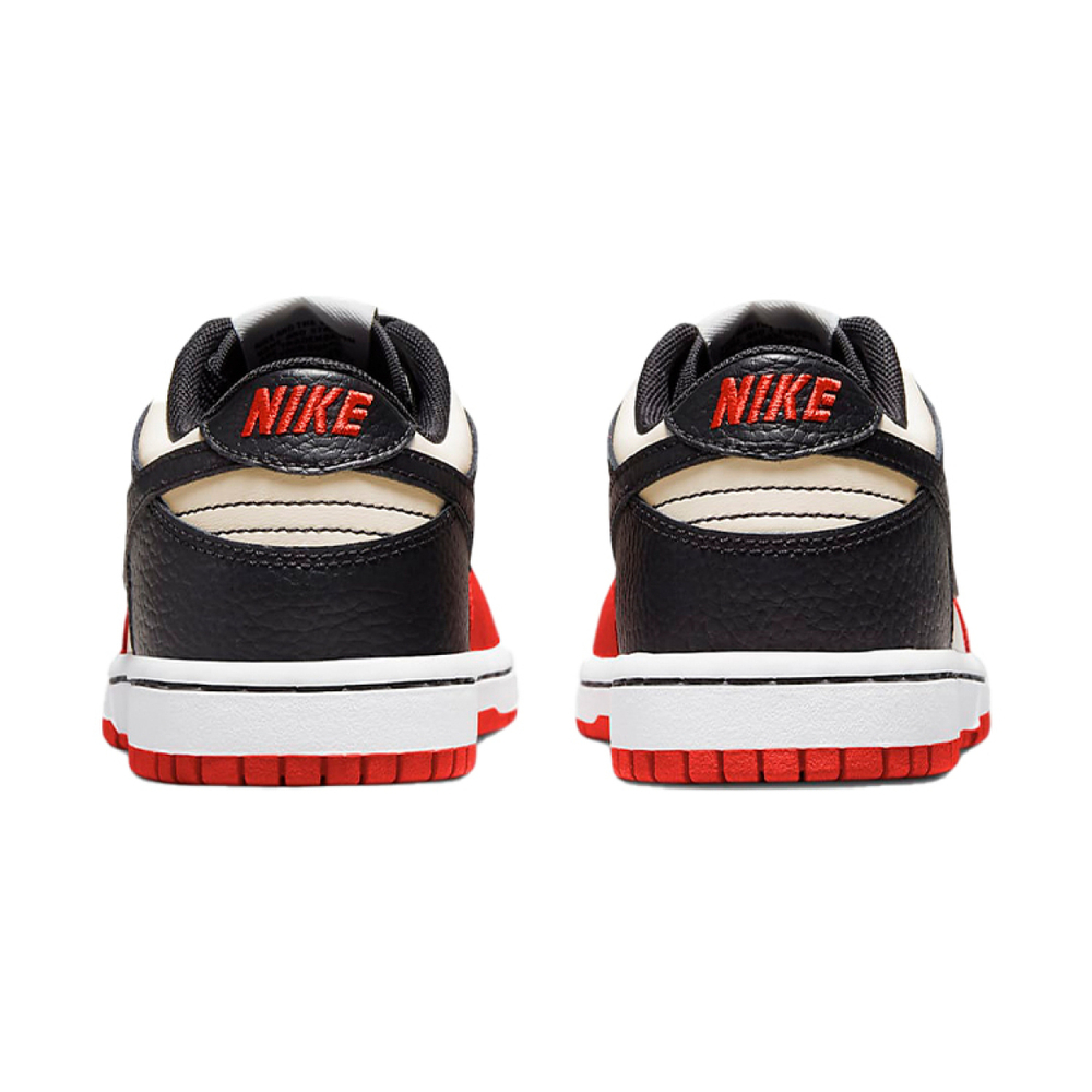 NBA x Nike Dunk