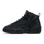Jordan Air Jordan 12