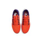 Nike Pegasus 38 College Air Zoom "Clemson"