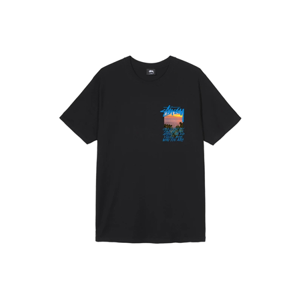 Stussy Clear Day T