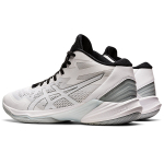 Asics Sky Elite FF MT 2