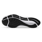 Nike Pegasus 37
