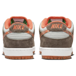 Crushed D.C x Nike Dunk SB pro