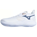 Mizuno