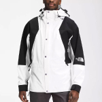 THE NORTH FACE 1994 Retro Mountain Light Futurelight™ logo