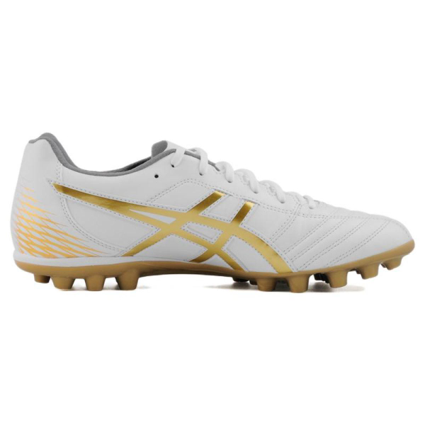 Asics DS LIGHT AG（ ）