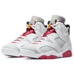 Jordan Air Jordan 6 retro neutral grey
