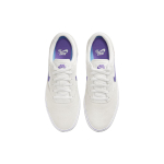 Nike SB Chron 2
