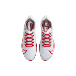 Nike Pegasus 37 Ohio State