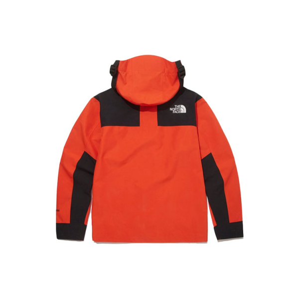 THE NORTH FACE Novelty Gtx Mountain Jacket