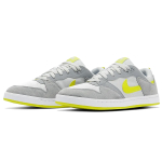 Nike SB Alleyoop