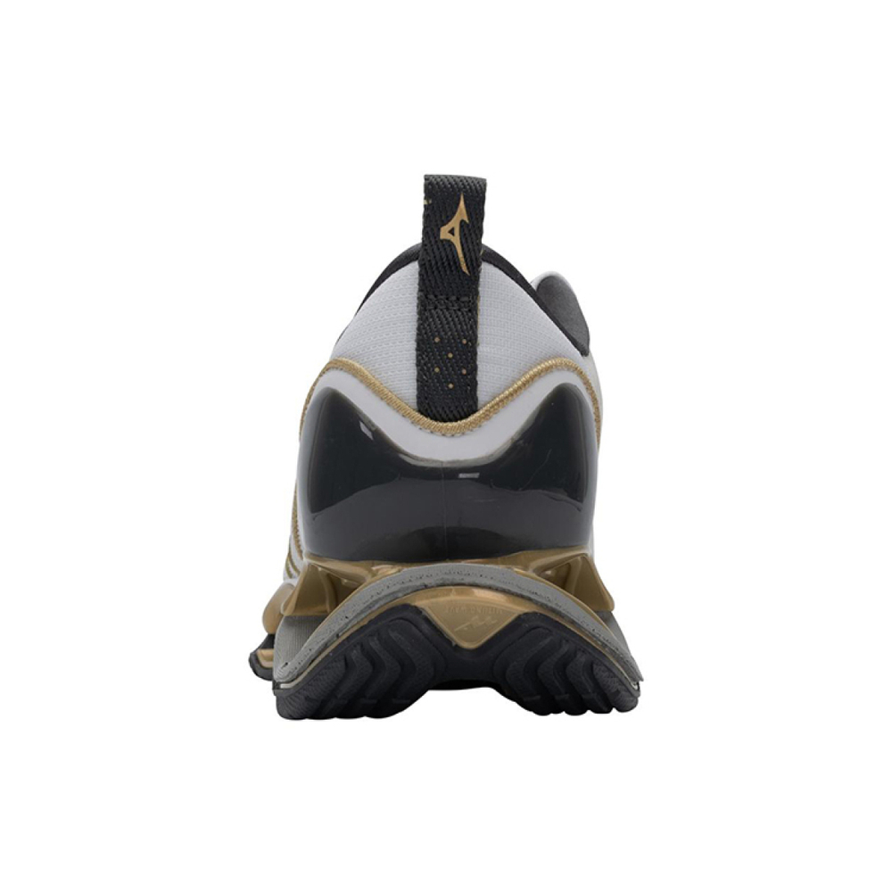Mizuno Pro