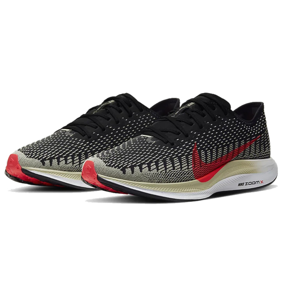Nike Pegasus turbo 2