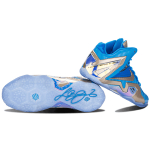 Nike Lebron 11 Elite Collection "Maison Du LeBron"