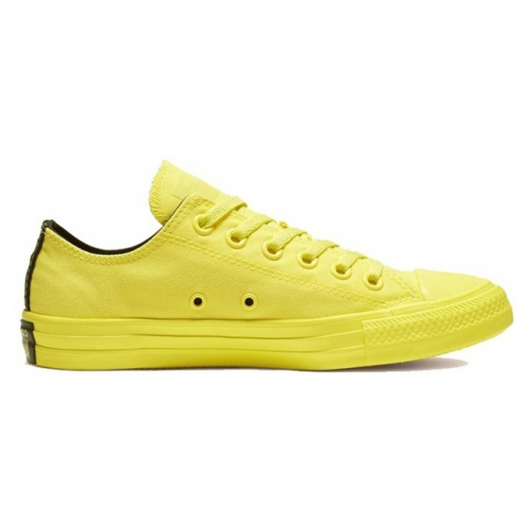 Converse Chuck Taylor All Star Low Top