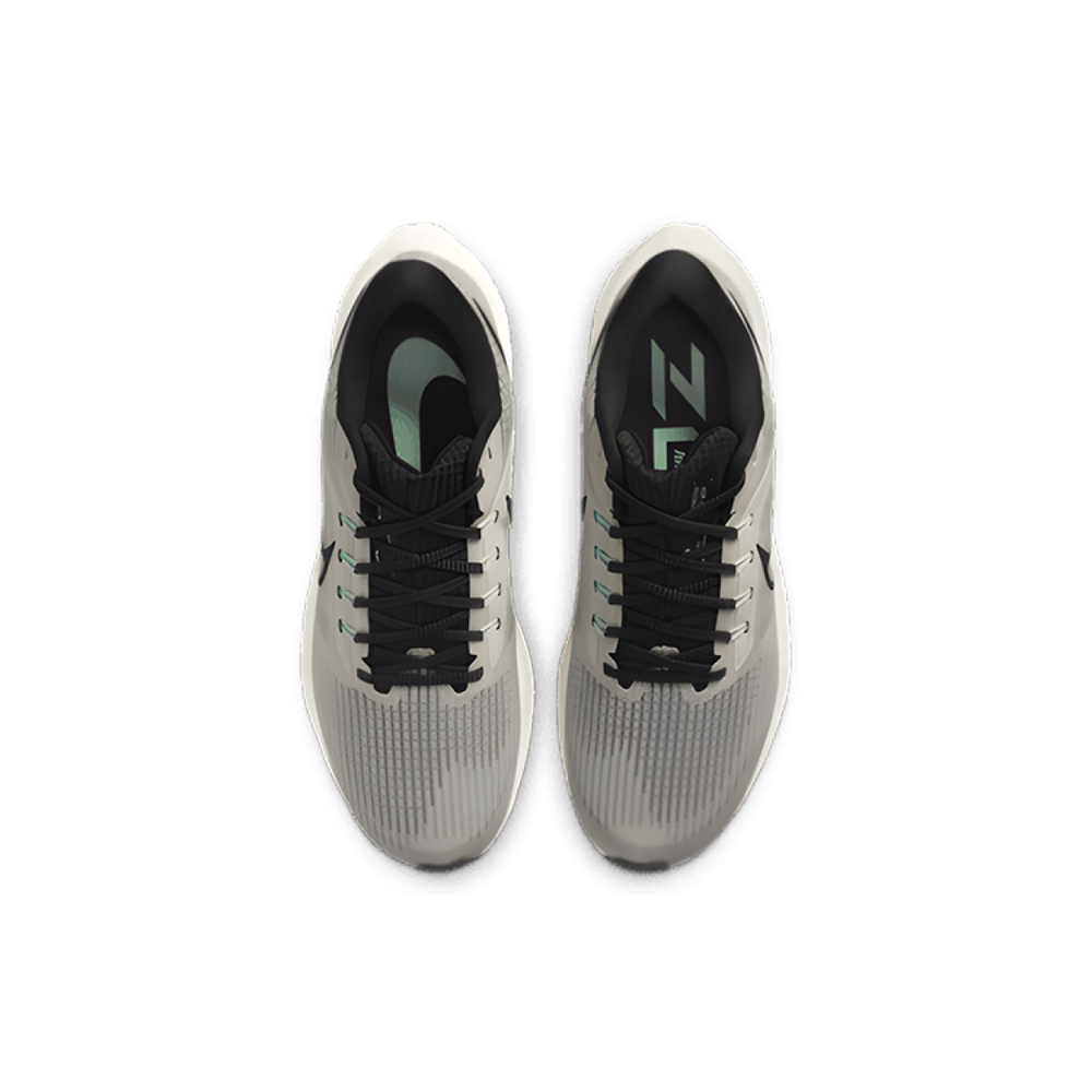 Nike Air Zoom Pegasus 39