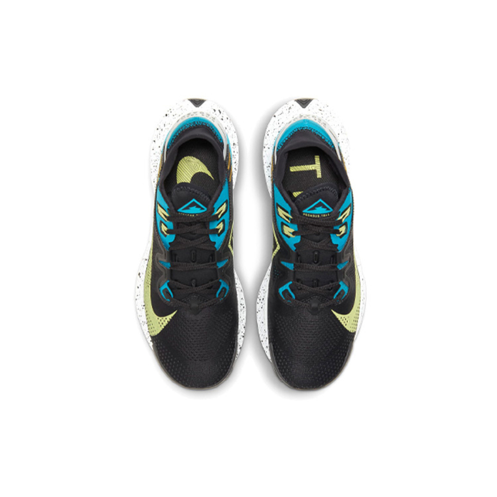 Nike Pegasus Trail 2