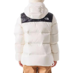 /THE NORTH FACE Logo 700