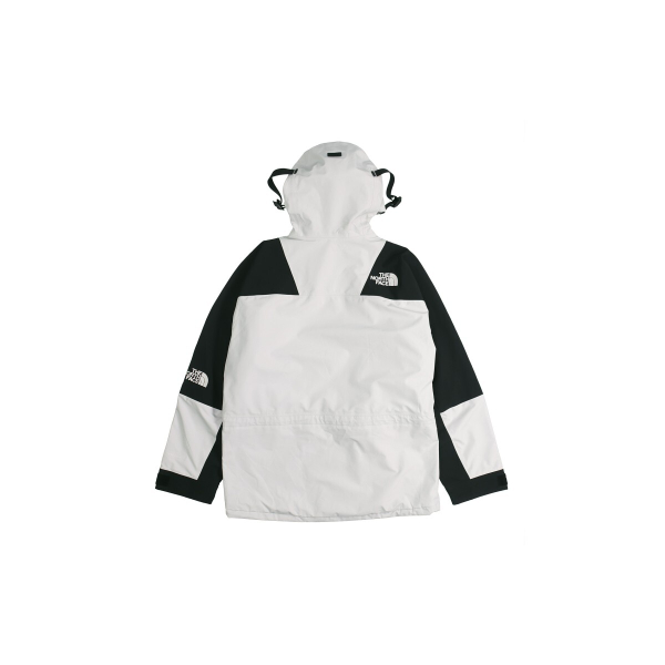 THE NORTH FACE 1994 Retro Mountain Futurelight