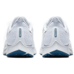 Nike Pegasus 36 FLR