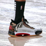 Jordan Air Jordan 34 GS "Welcome to the Zoo"