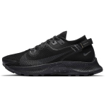 Nike Pegasus Trail 2