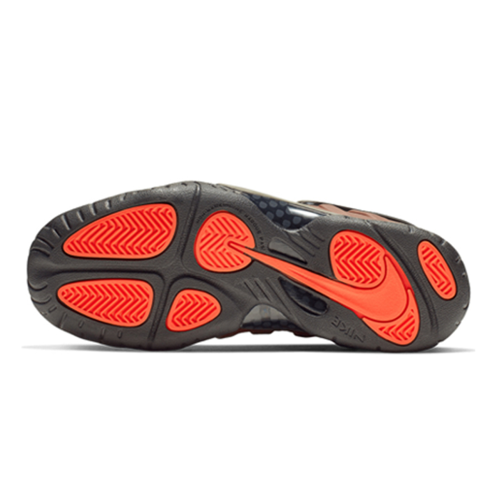 Nike Foamposite Pro Color Shift