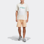 Adidas originals Graphic Tee Logo T
