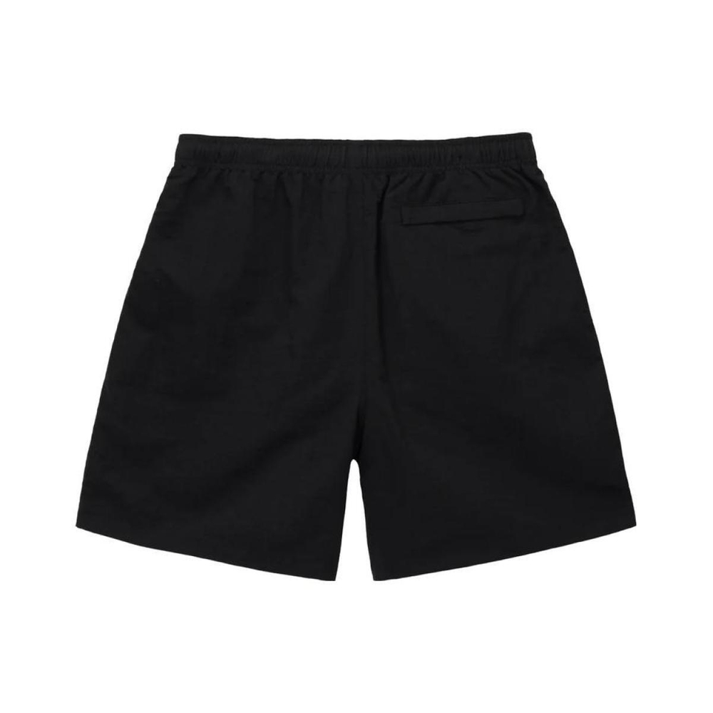Stussy FW24 WATER SHORT BIG BASIC Logo