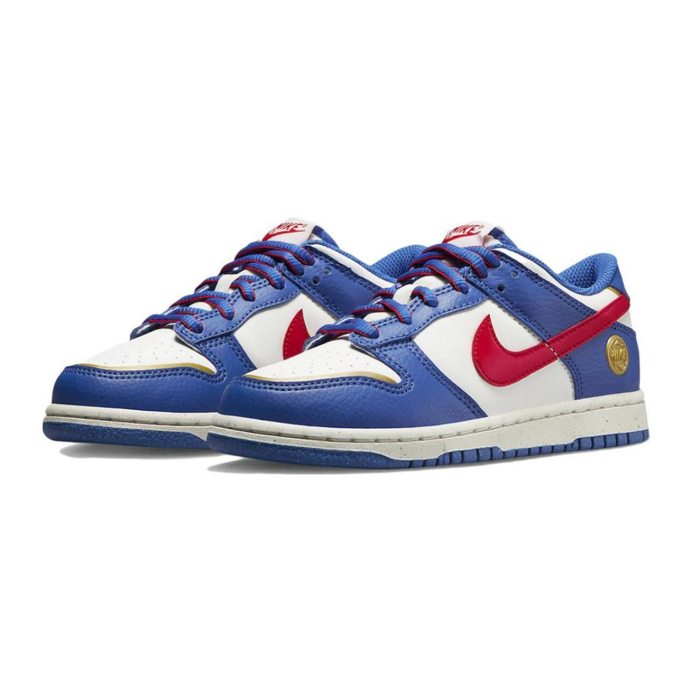 Nike Dunk Superhero