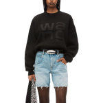 Alexander wang