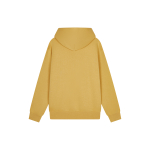 Champion FW23 Rochester Logo