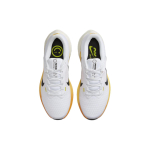 Nike Air Winflo 10