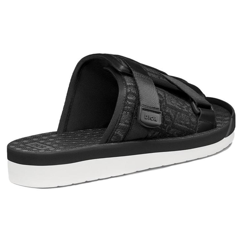 DIOR Alpha