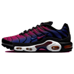 Patta x Nike Air Max Plus