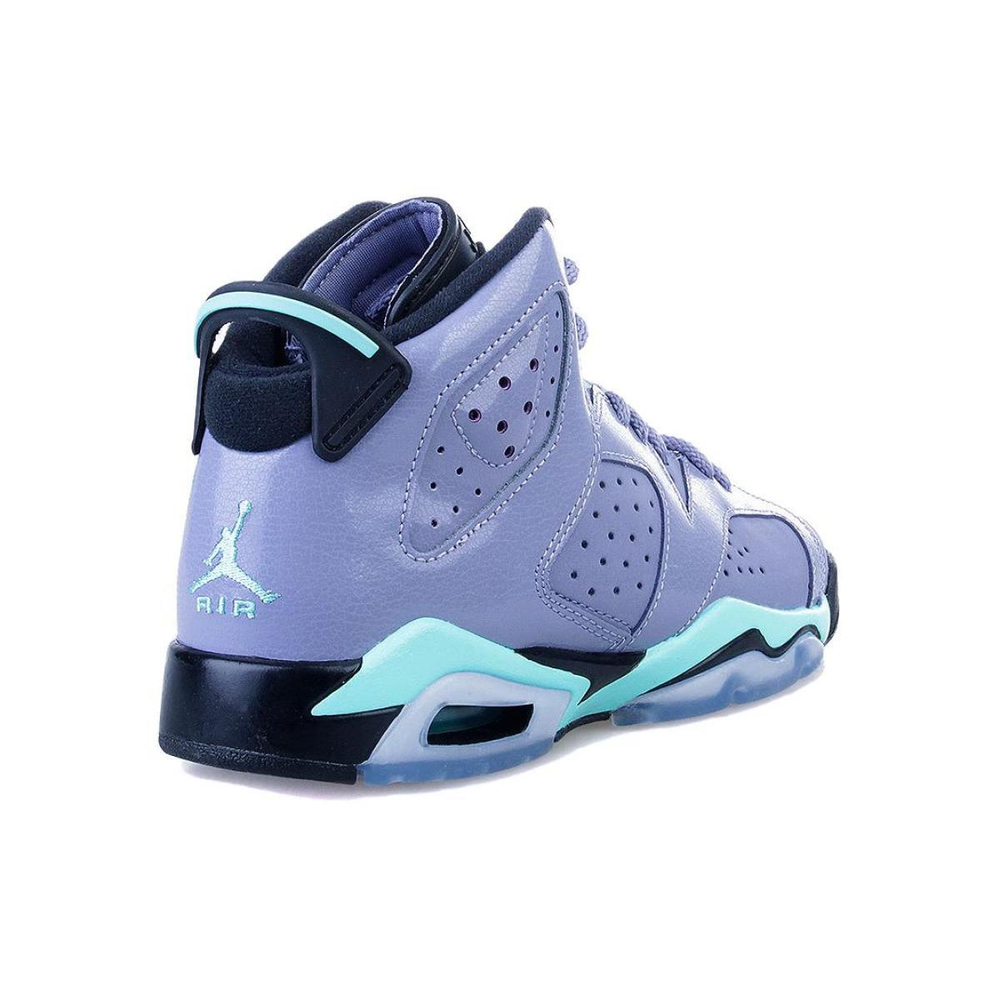 Jordan Air Jordan 6 Retro Iron Purple