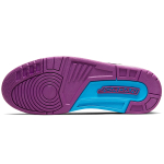 Jordan Legacy 312