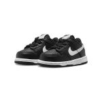 Nike Dunk (TDE)