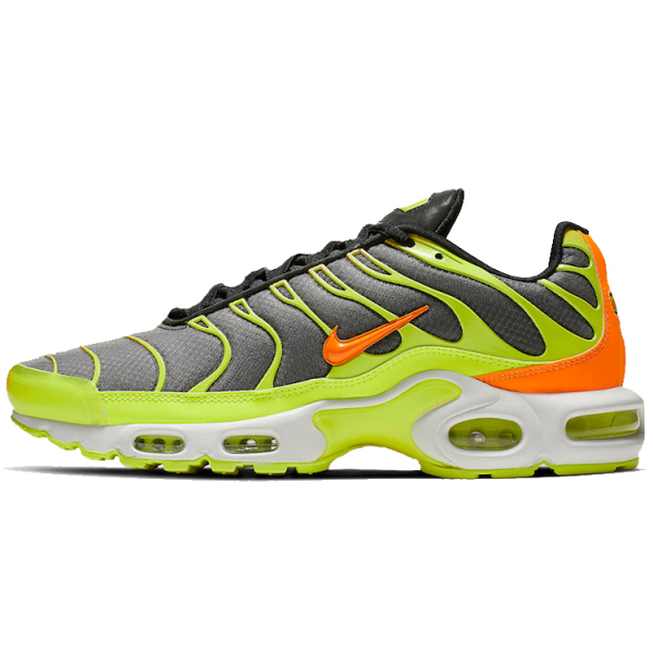 Nike Air Max Plus Color Flip