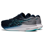 Asics Evoride 3