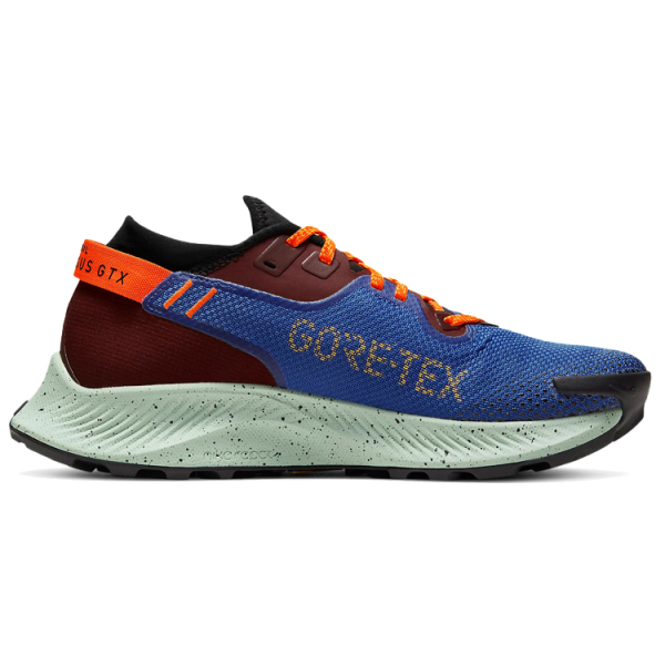 Nike Pegasus Trail 2 GORE-TEX
