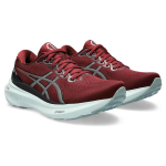 Asics Gel-Kayano 30