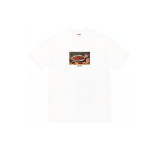 Supreme SS23 Week9 STRAWBERRIES TEE T