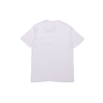 RIPNDIP T