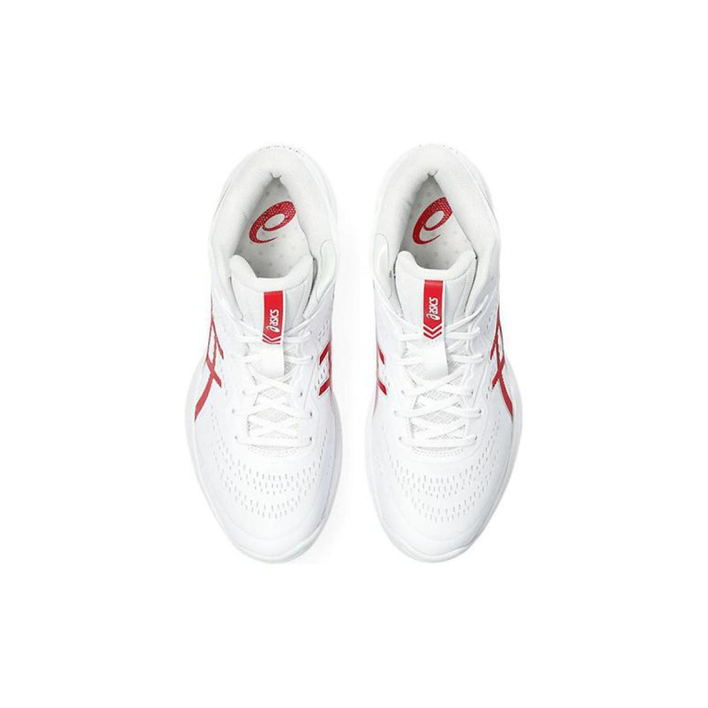 Asics Gel-Hoop V15