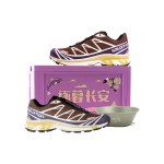Salomon XT-6