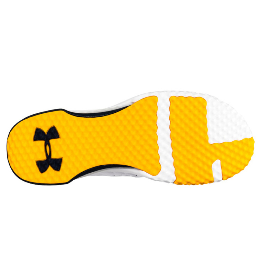 Under Armour Project Rock 1
