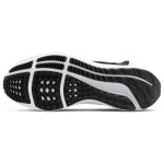 Nike Pegasus FlyEase