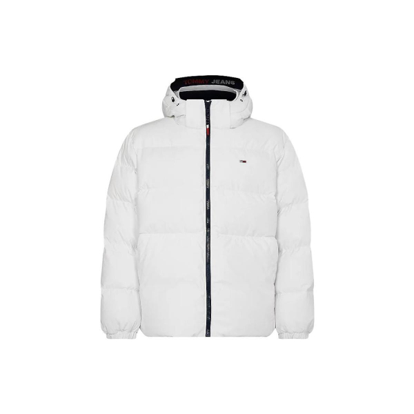 Tommy Hilfiger Logo